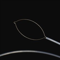 ʻO Jaw Type Force Force Force